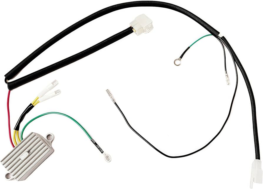 【Tomo】 Pokemon Center 2020 Japanese 